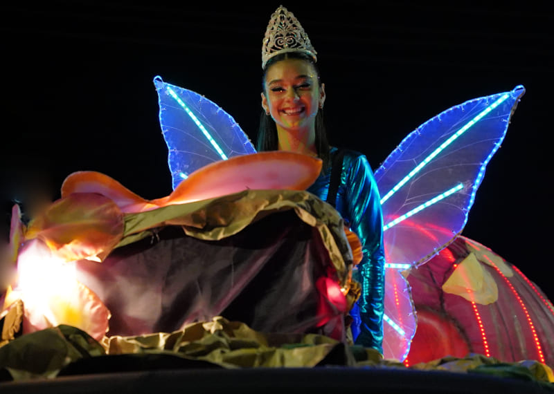 Artes Vivas